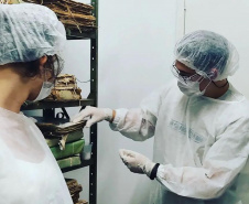Centro de Documentação Histórica do Litoral do Paraná comemora um ano de funcionamento