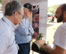 Eventos em Campo Mourão incentivam a produção orgânica e a segurança alimentar