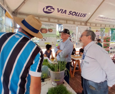 Eventos em Campo Mourão incentivam a produção orgânica e a segurança alimentar
