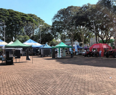 Eventos em Campo Mourão incentivam a produção orgânica e a segurança alimentar