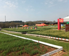 Estado reforça convite para municípios aderirem a sistema que elimina limites para venda de produtos agroindustrializados
