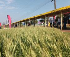 Estado reforça convite para municípios aderirem a sistema que elimina limites para venda de produtos agroindustrializados