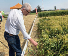 Estado reforça convite para municípios aderirem a sistema que elimina limites para venda de produtos agroindustrializados