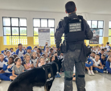 PCPR na Comunidade oferece serviços de polícia judiciária para a população do bairro Cajuru em Curitiba