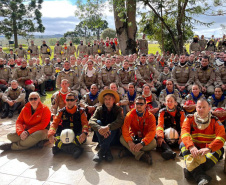 Brigadistas Voluntários