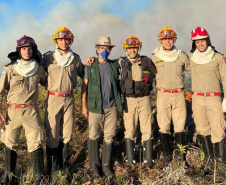 Brigadistas Voluntários
