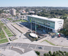 falcão
