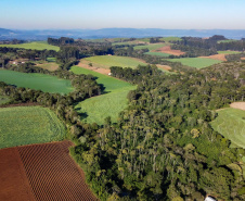 Com protagonismo ambiental, Paraná é o terceiro estado mais competitivo do Brasil