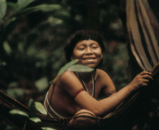 Nova mostra no Museu Paranaense