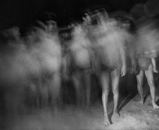 Nova mostra no Museu Paranaense