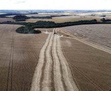municípios com Valor Bruto da Produção Agropecuária acima de  R$ 1 bilhão