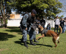 Ataque de cães é principal causa de acidente de trabalho dos leituristas da Sanepar