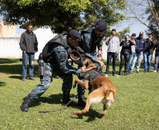 Ataque de cães é principal causa de acidente de trabalho dos leituristas da Sanepar