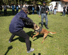 Ataque de cães é principal causa de acidente de trabalho dos leituristas da Sanepar