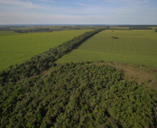 Corredor Ecológico