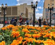 Paraná lidera ranking nacional de serviços urbanos e qualidade de vida