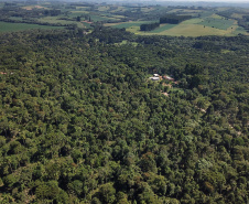 Com inclusão da erva-mate, Prêmio Orgulho da Terra 2023 destaca boas práticas no campo