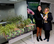 FLORESCWE