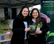 floresce