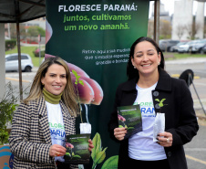 floresce