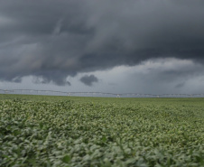 Paraná lança plataforma interativa com riscos de eventos climáticos nos municípios