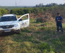 Incidência de Greening