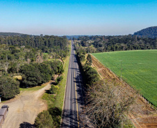 Lote 1 prevê duplicação e 21 viadutos e passarelas entre Ponta Grossa e Prudentópolis