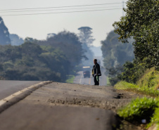 Lote 1 prevê duplicação e 21 viadutos e passarelas entre Ponta Grossa e Prudentópolis