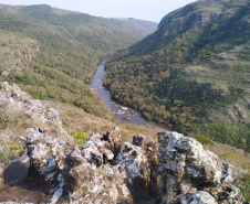 Conservação e preservação do meio ambiente, em ações para a fauna e flora, estão previstos no novo convênio entre IAT e Simepar.