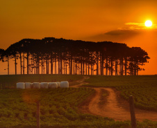 Paraná lança plataforma interativa com riscos de eventos climáticos nos municípios