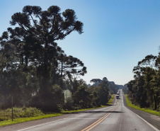 Lote 1 prevê duplicação e 21 viadutos e passarelas entre Ponta Grossa e Prudentópolis