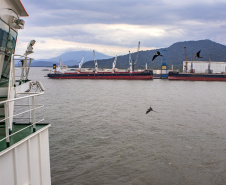 Porto de Antonina tem ganho operacional após conclusão das obras de dragagem de manutenção