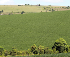 Com protagonismo ambiental, Paraná é o terceiro estado mais competitivo do Brasil