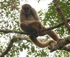 Estudantes de Castro conhecem espécies em extinção em visita ao Zoo
