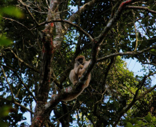 Estudantes de Castro conhecem espécies em extinção em visita ao Zoo