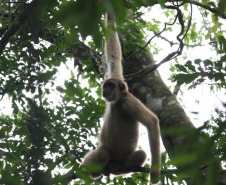 Estudantes de Castro conhecem espécies em extinção em visita ao Zoo