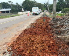  Viaduto de Curitiba recebe novos passeios para pedestres 