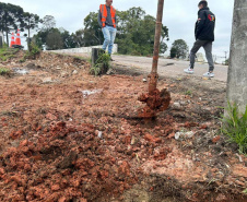  Viaduto de Curitiba recebe novos passeios para pedestres 