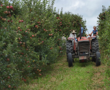 Banco do Agricultor