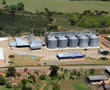 34 cidades do Paraná tem Valor Bruto de Produção Agropecuária acima de R$ 1 bilhão