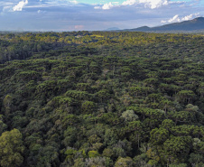 Com protagonismo ambiental, Paraná é o terceiro estado mais competitivo do Brasil