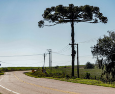 Lote 1 vai modernizar as conexões entre Lapa, Araucária, Porto Amazonas, Campo Largo e Curitiba