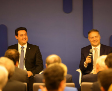 COLETIVA