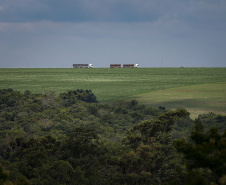 municípios com Valor Bruto da Produção Agropecuária acima de  R$ 1 bilhão