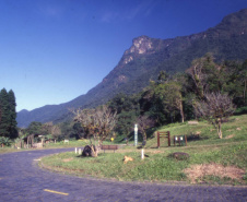 ESTRADA DA GRACIOOSA
