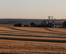 Com protagonismo ambiental, Paraná é o terceiro estado mais competitivo do Brasil