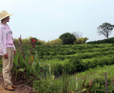 Banco do Agricultor