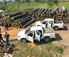  O IAT emitiu 154 Autos de Infração Ambiental (AIA) em sete municípios do Vale do Ribeira