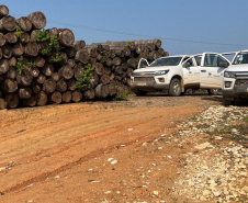  O IAT emitiu 154 Autos de Infração Ambiental (AIA) em sete municípios do Vale do Ribeira