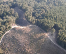  O IAT emitiu 154 Autos de Infração Ambiental (AIA) em sete municípios do Vale do Ribeira